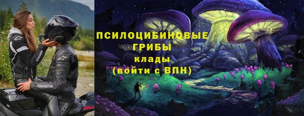 ПСИЛОЦИБИНОВЫЕ ГРИБЫ Зеленокумск