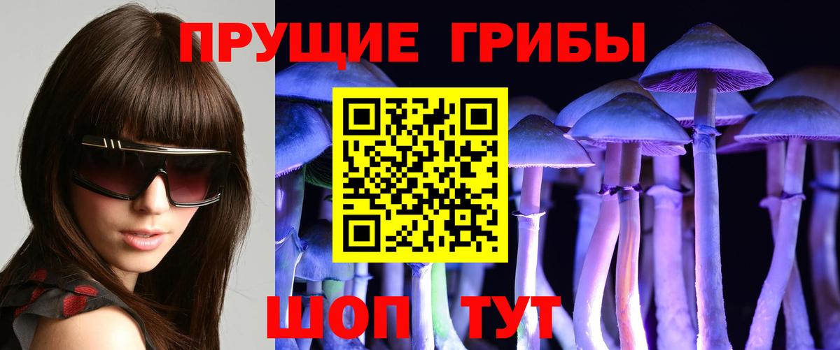 Псилоцибиновые грибы мицелий Красногорск