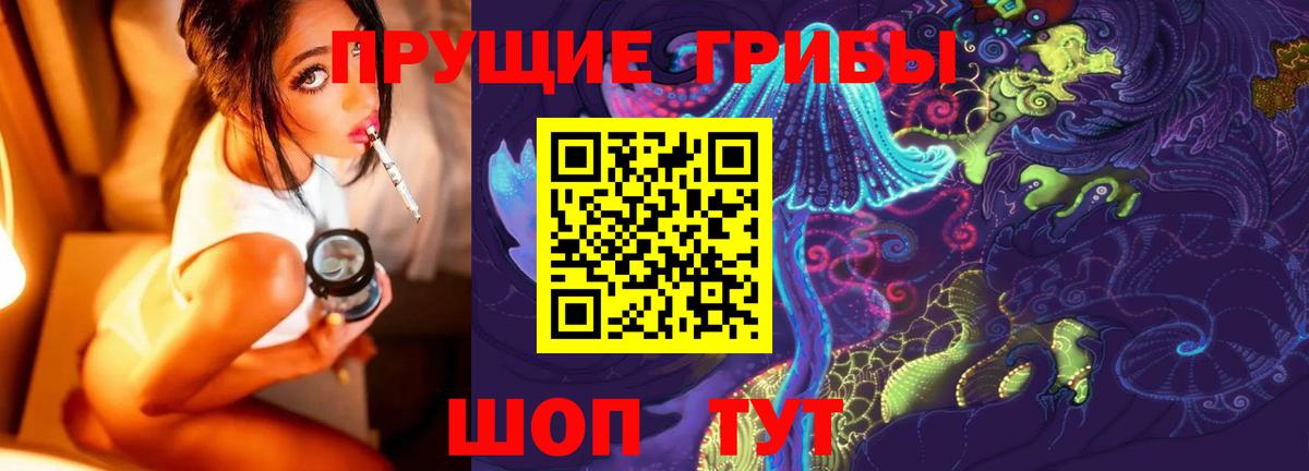 Галлюциногенные грибы MAGIC MUSHROOMS  Вход с VPN  Красногорск 